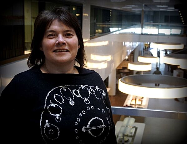 Lager lære­middel i sørsamisk fra bunnen