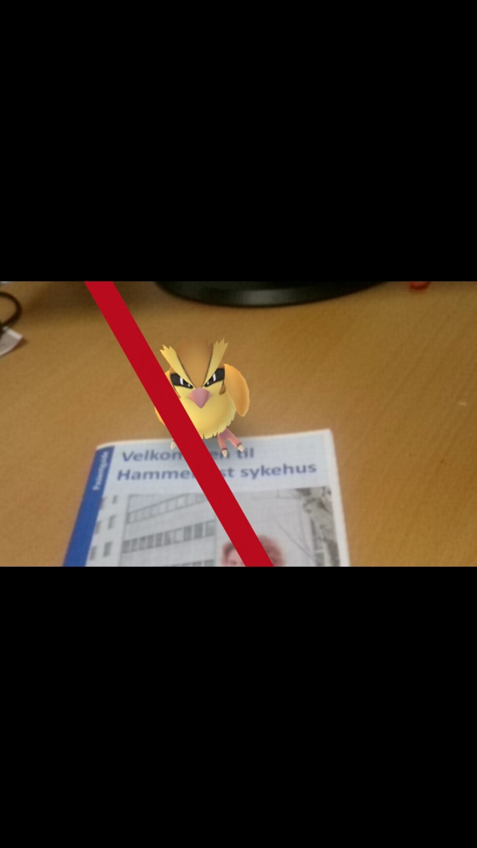Skjermdump av Pokémon Go.