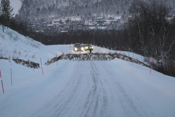 Regjeringens intervenering i Karasjok-saken