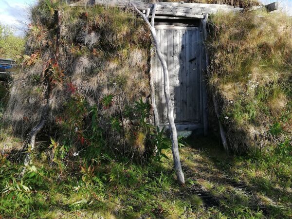 FeFos forvaltning av statens urettmessige eierskap