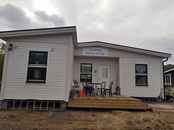 Galleri og gøy