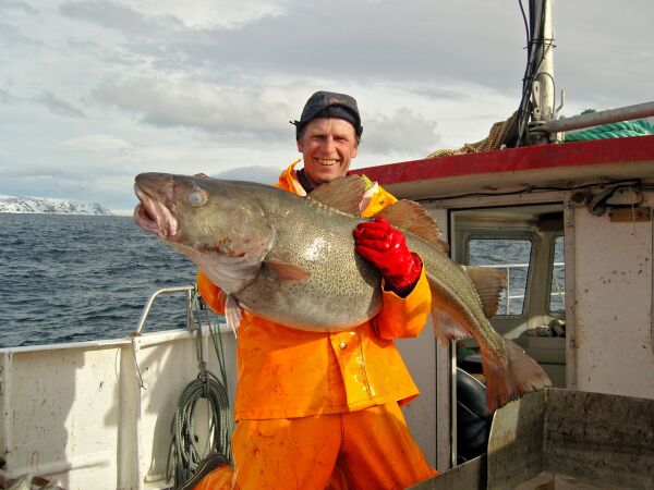 – Vi går dit fisken er