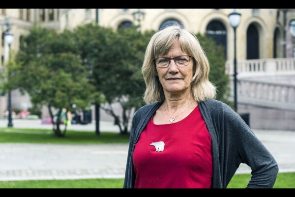 Vil åpne for Skype-behandling