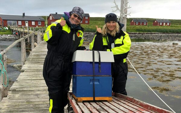Sommerjobb på multeøya