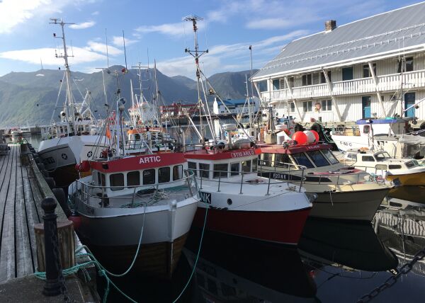 Fiskerihavnene er i spill. Stortingsvalget avgjør !