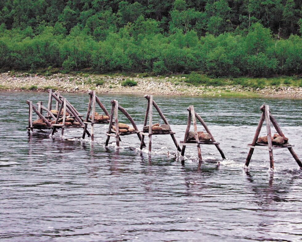 Herrefolket i den finske Riksdagen bryr seg fint lite om samiske rettigheter og lokalbefolkninga i Tanadalen. Det tradisjonsrike samiske stengselsfisket er under press.
 Foto: Arkiv