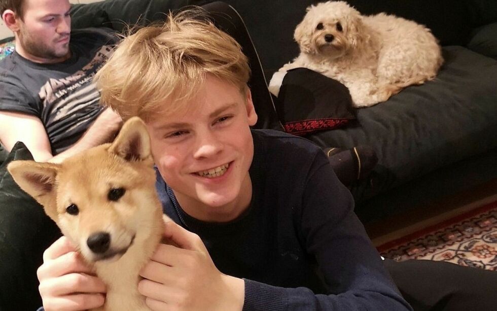 Tord Hes­je­vik sitter med hund­en Dilja, mens Øy­vind Hes­je­vik og hund­en Bo­dil er i bak­grunn­en. Foto: Pri­vat.
 Foto: privat