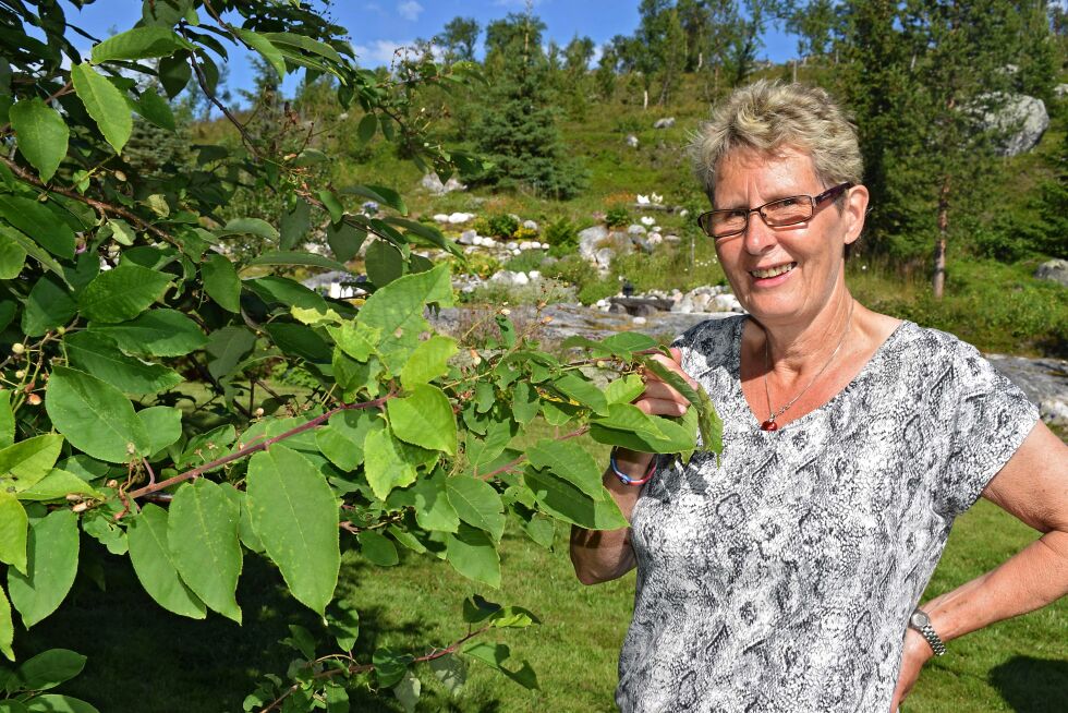 Ester Persen ved heggen som ble flyttet fra moras hage.
 Foto: Birgitte Wisur Olsen