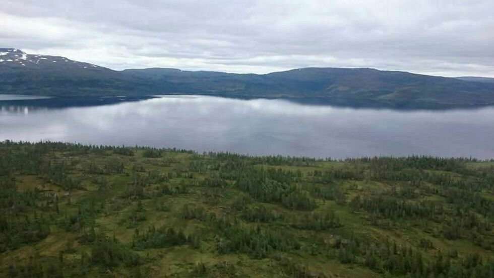 Gasken Laanten sijte ligger i Trøndelag og grenser mot Sverige i øst.
 Foto: Privat