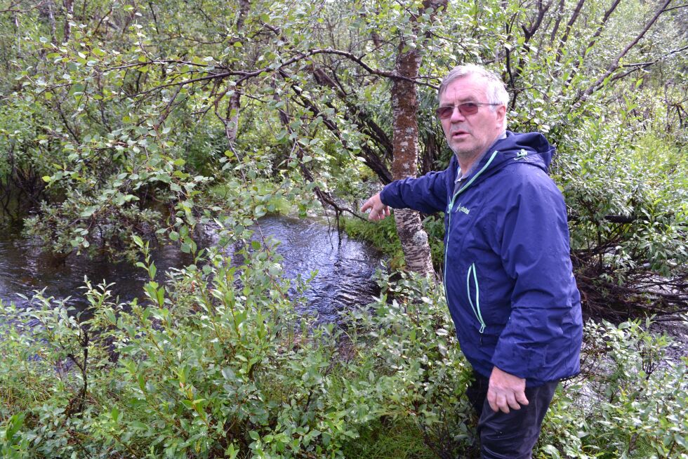 Magnus Varsi fra Sirbmá har forsket videre på gullgravingen i &#268;ávastatjohka mellom som skjedde mellom Laksnes/Luosnjárga og Roavvegieddi på slutten av 1800-tallet.
 Foto: Tom Hardy