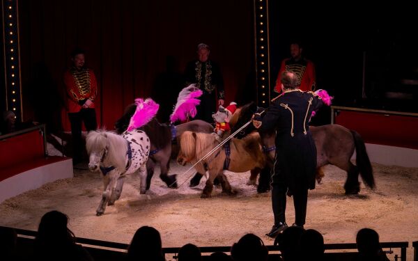 Lover et forrykende show