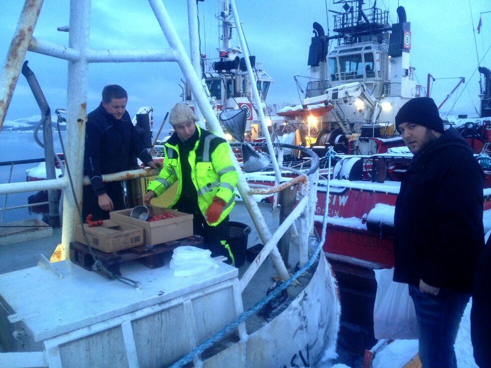 Skipper Kent Jensen (til venstre) vil snart selge reker fra kaia i Kirkenes, til kundenes store glede.
 Foto: Hallgeir Henriksen (arkiv)
