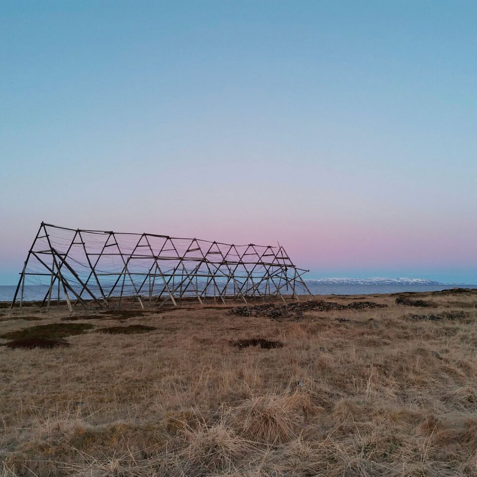 På Ekk­er­øy i vak­kert mai­lys er fis­ke­hjel­ler eit ny­de­lig skue.
 Foto: Liv Kyrkjebø