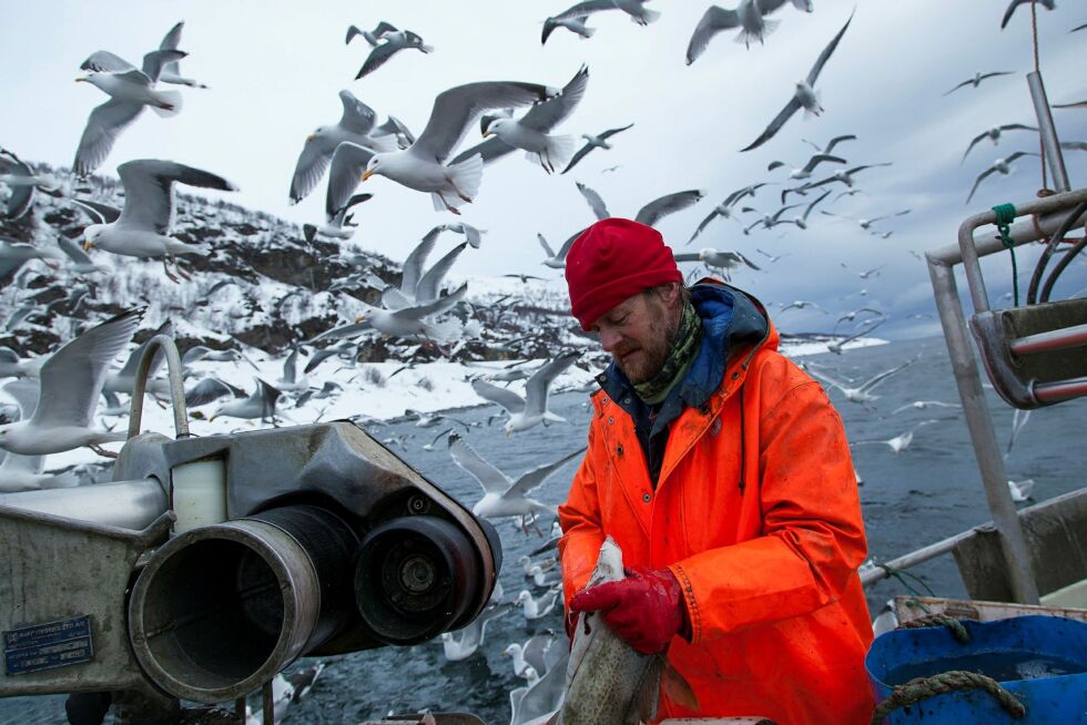 I år kan Bernt Wilhelmsen fra Kistrand feire at han har vært sjarkfisker i 47 år.
 Foto: Leif Gabrielsen