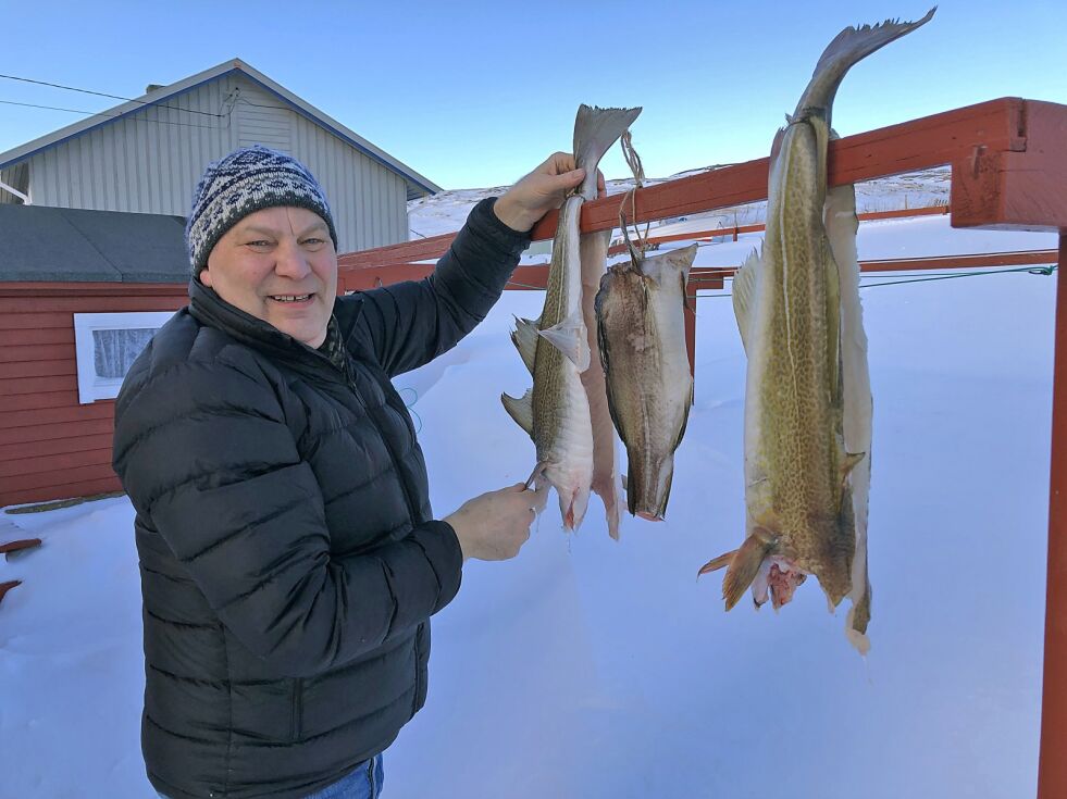 Ivar Kaski fryder seg over gode forhold for bokning av torsk på klessnora utenfor barndomshjemmet i Bugøynes.
 Foto: Halllgeir Henriksen
