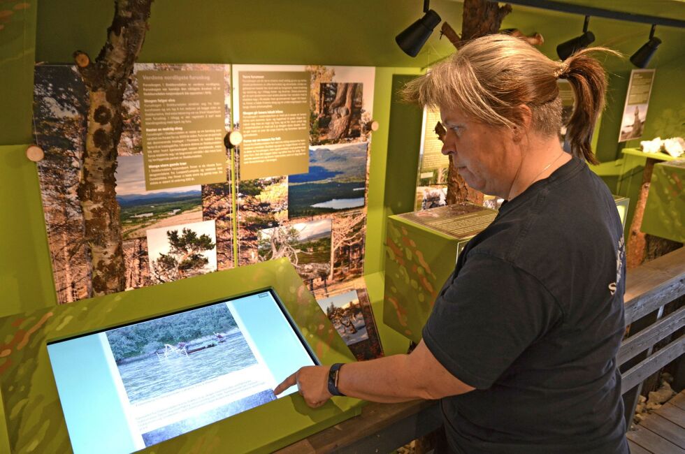 Gry Ingebretsen, daglig leder ved Stabbursnes Naturhus og Museum, forteller hvordan utstillingen er sammensatt.
 Foto: Roger Albrigtsen
