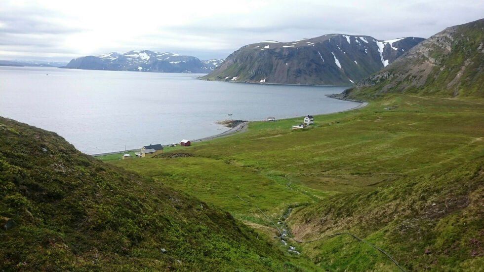 Et enstemmig planutvalg i Nordkapp gikk tirsdag inn for at Grieg Seafood Finnmark bør gis tillatelse til å drive med lakseoppdrett i Guvla/Gullgammen. Flere hytteeiere i området har gått imot at det skal drives oppdrett her.
 Foto: Privat
