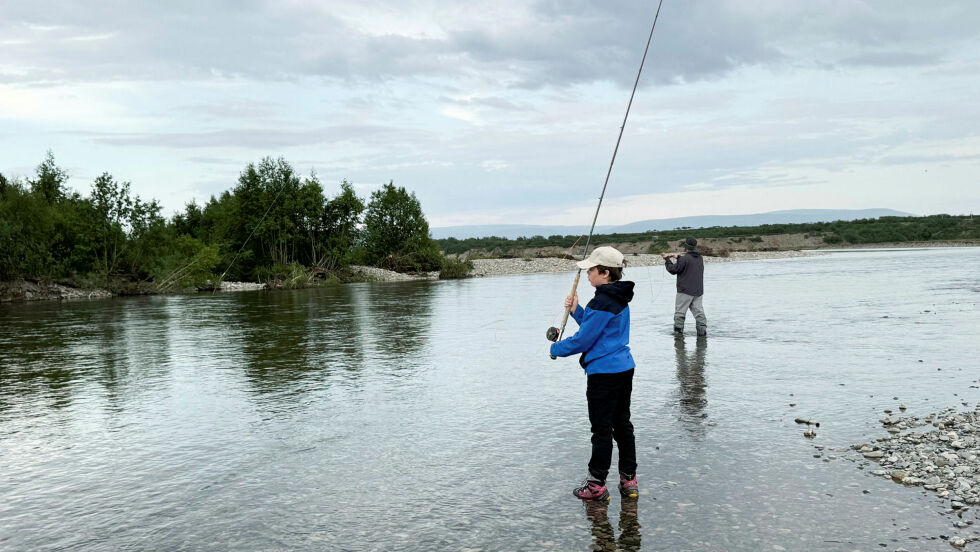Mange faktorer griper inn i hverandre som mulige forklaringer på den katastrofale situasjonen for laksebestanden i Tanaelva.
 Foto: Irmelin Klemetzen