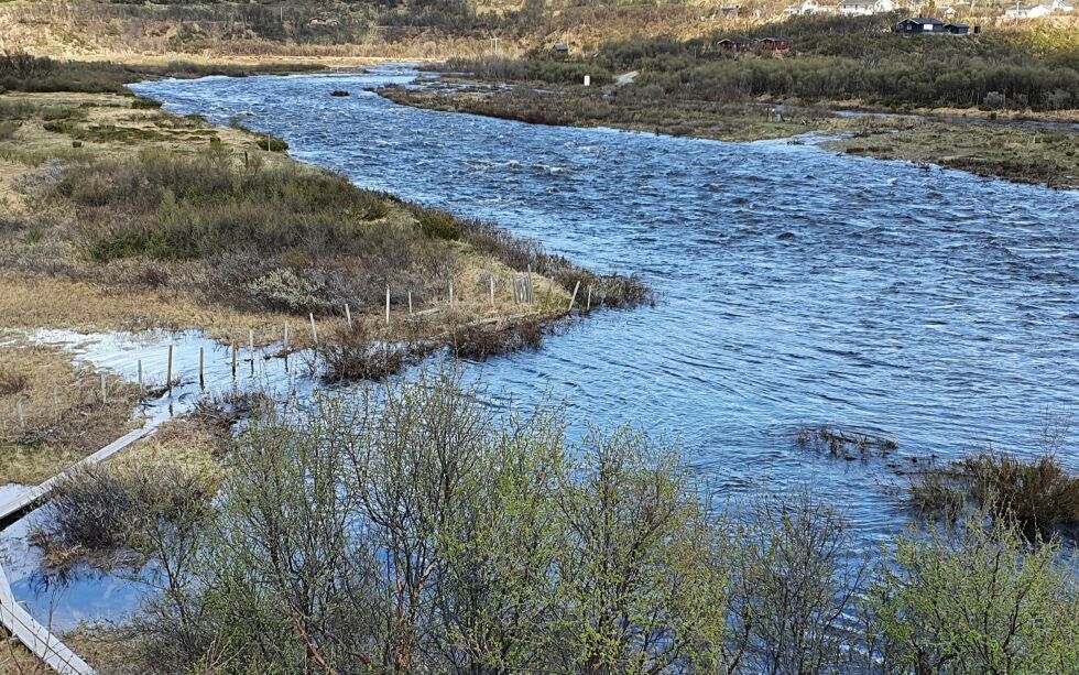 NVE har satt flomfaren til gult nivå i hele Troms og Finnmark, men vurderer fortløpende å øke faregraden. Her fra Jakobselva.
FOTO: TORBJØRN ITTELIN