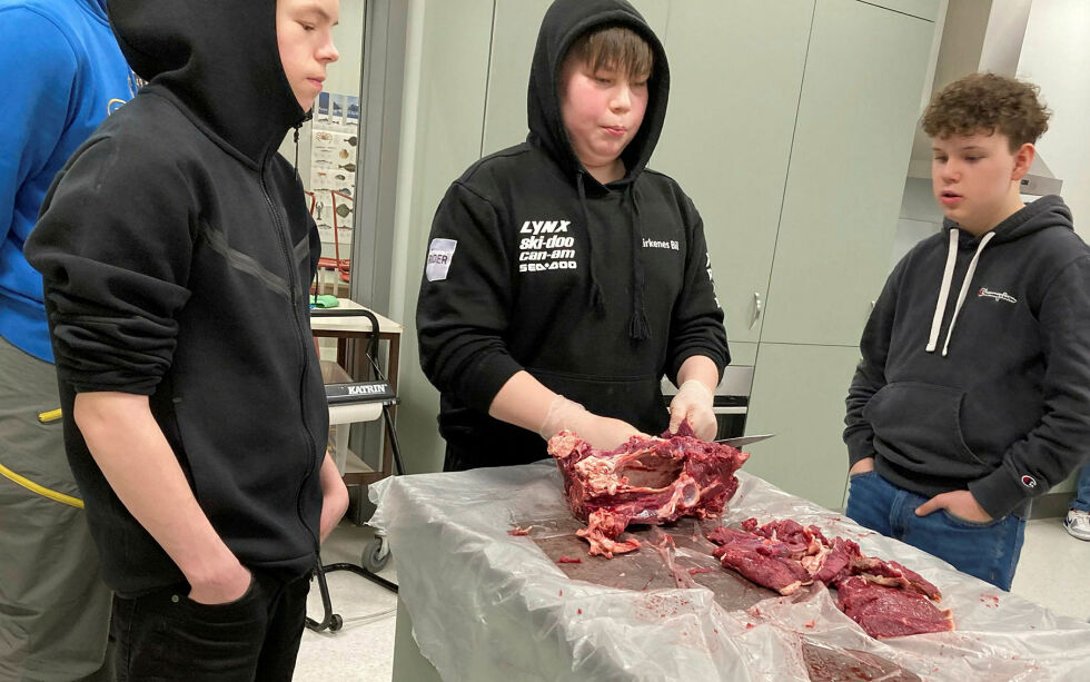 Marius Sotkajærvi, Isak Håkonsen og Sebastian Hægdahl Hansen er her i gang med arbeidet som ender opp med biđus på skolen på samefolkets dag.
Foto: Privat