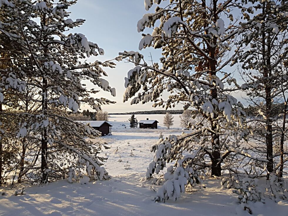 For noen år si­den bod­de det folk i den­ne idyl­len ved Karehâšjävre, ikke langt fra ka­fe­en til Sa­ni­la, ei drøy mil syd for Näätämö. Foto: Ast­rid S. Pe­der­sen