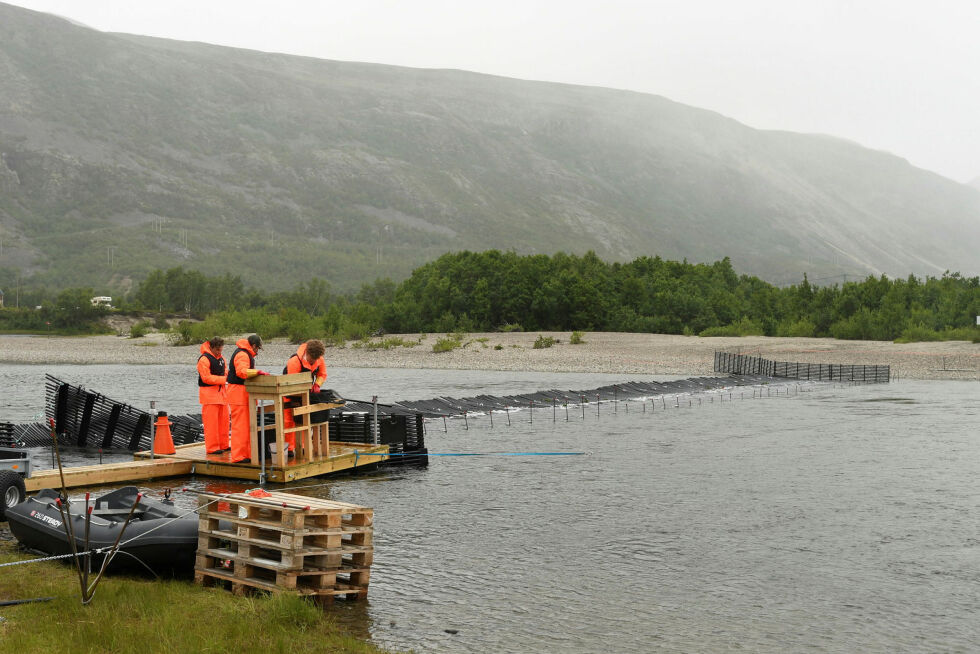 Flyteristfella i Lakselva 2023. Nå skal en oppgradert felle på plass, som forhåpentligvis gjør det enklere for atlanterhavslaksen å passere.
 Foto: Irene Andersen