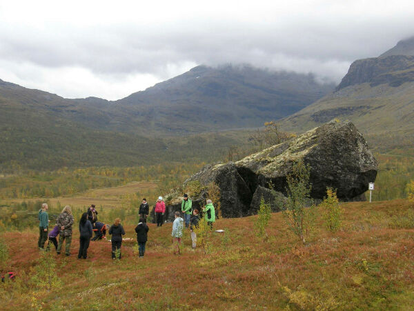 Naturens økonomi