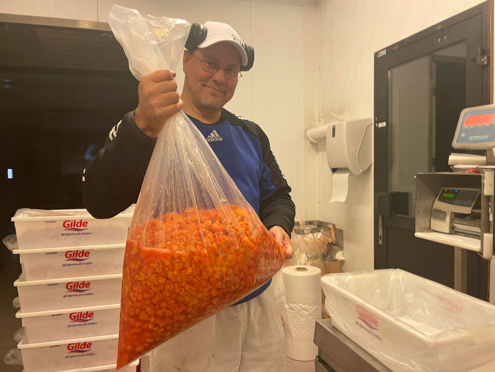 Tom-Rune Beravara veier inn gullet fra finnmarksmyrene, og han syns folk er skikkelig flinke med bæra.
 Foto: Birgitte Wisur Olsen