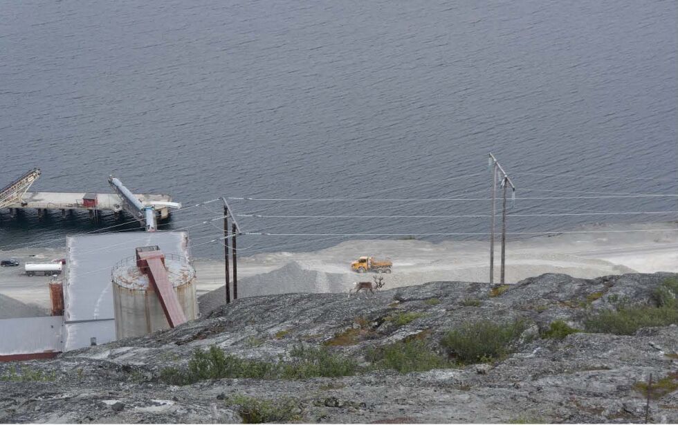 Enslig rein beiter ved eksistrende anlegg, Folldal verk ved Repparfjorden.
 Foto: Nussir ASA