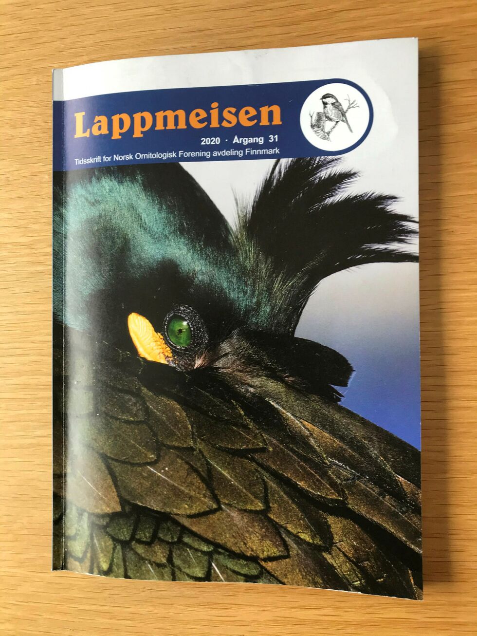 Tidsskriftet for Finnmark avdeling av Norsk Ornitologisk Forening (NOF) er nylig utkommet, og er nå på 128 sider i A4 format. Foto: Anthon Sivertsen