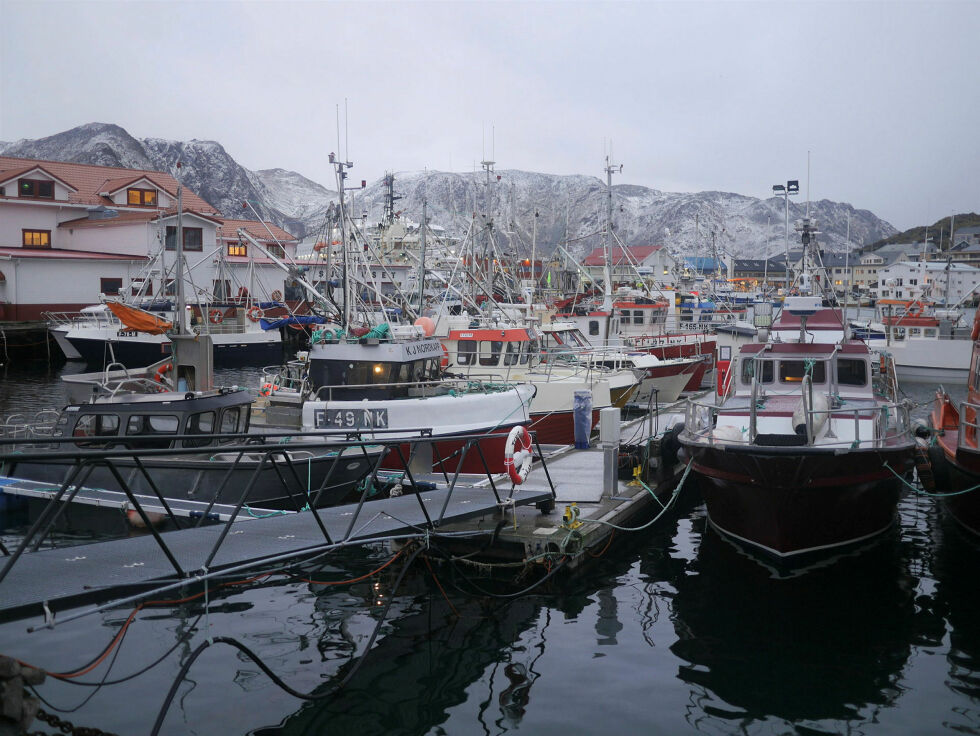 Prosjekt «Ungdomsfiske 2024» har som formål å rekruttere flere unge til fiskeriyrket. I prosjektet gis det grunnleggende opplæring for fiskeriyrket.
 Foto: Geir Johansen