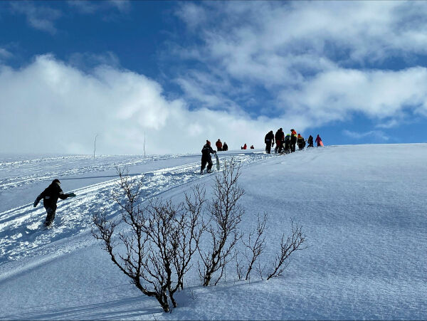 Akekonkurranse i Áilegas