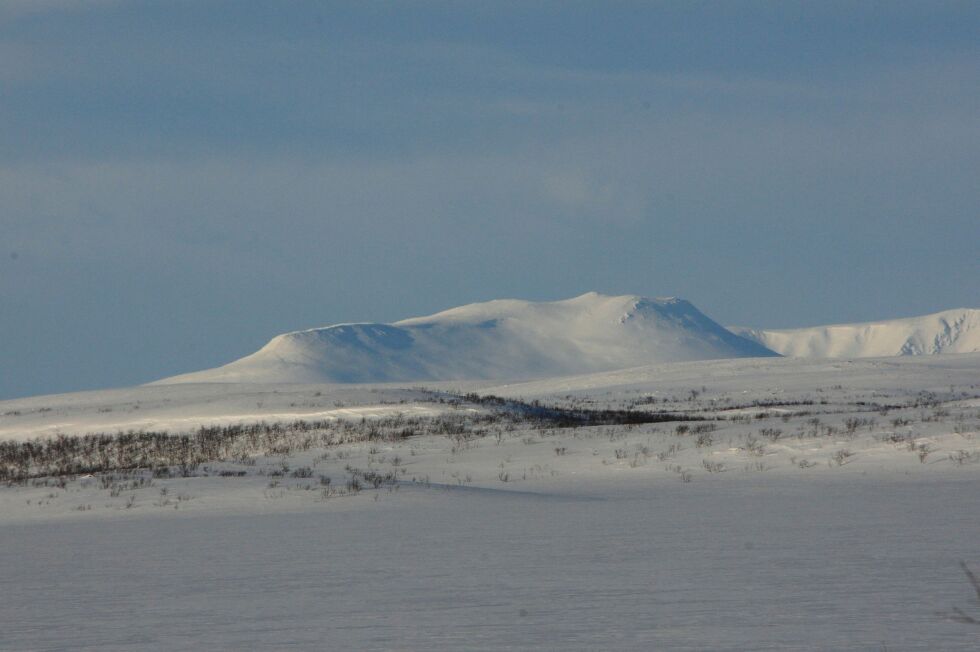 Karasjok høyeste fjell, Vuorje, kneiser stolt mot nord. Karasjokfolket vil eie sin egen utmark, men møter motbør fra FeFo, NJFF og en badjesiida.
 Foto: Stein Torger Svala