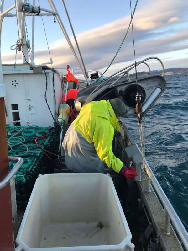 «Fiskekvotemarkedsminister» Nesvik