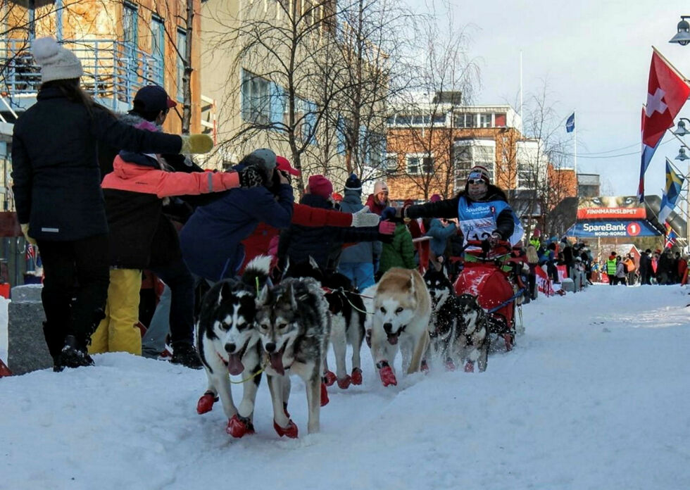Man kan minske stress ved å koble seg på naturen, som med hundekjøring, som kan gi grunnlag for bærekraftig turisme, ifølge hovedoppgaven til Emma Cowell på UiT.
 Foto: Privat