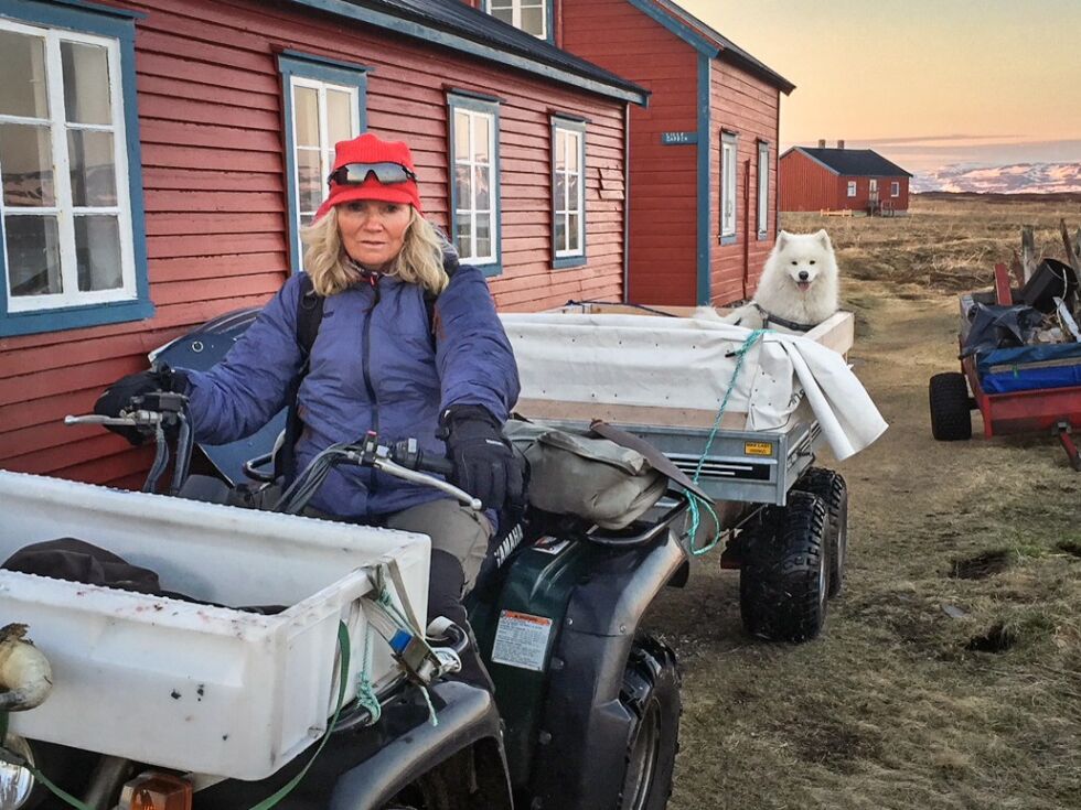 Anne Sivertsen leder ærfuglprosjektet på store Tamsøya. Når hun drar rundt på øya har hun ofte med seg samojedhunden Mikko, som hun sier elsker å være i båt og ellers rundt på øya.
 Foto: Store Tamsøy