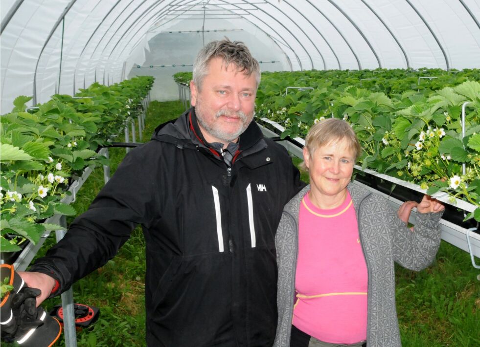 Det er mye idealisme og håp om mer aktivitet i Neiden, som er bakgrunnen for at Silja Støyva Arvola og Pål Gabrielsen nå satser på jordbær og muligens annen aktivitet og produksjon etterhvert.
 Foto: Hallgeir Henriksen