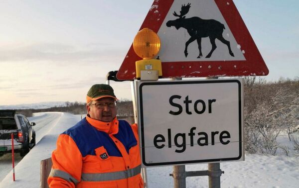 Mye elg på veiene