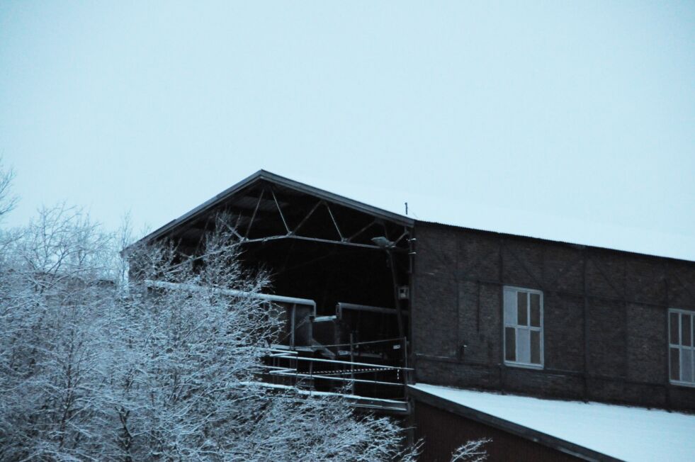 Foto: Hallgeir Henriksen