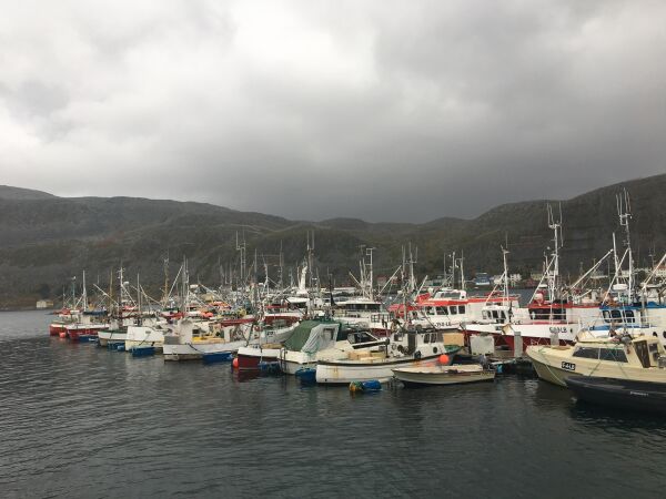 Hva er egentlig Arbeiderpartiet sin visjon for norsk fiskerinæring?