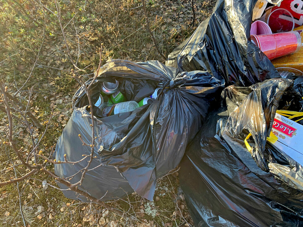 Alle lag, foreninger og bedrifter i Porsanger oppfordres til å sette av noen timer til opprydding på sine egne tomter og i sentrumsområdene.