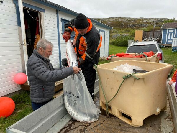 Tanaværinger til Bugøynes for å kjøpe laks