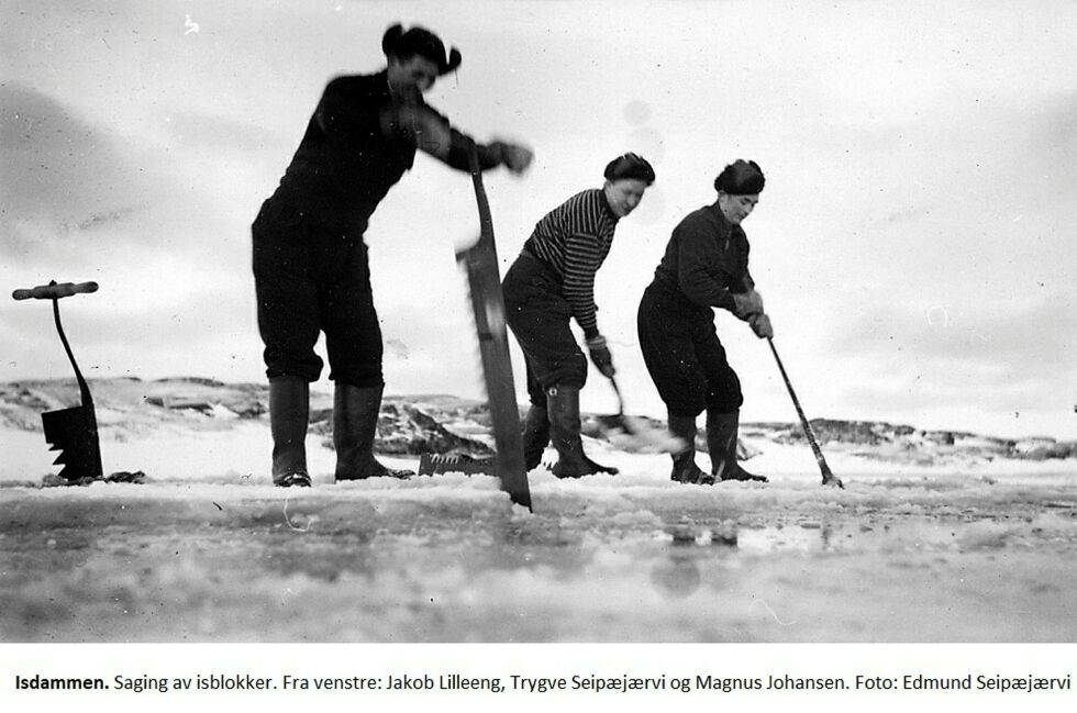 Her sager fra venstre:  Jakob Lilleng, Trygve Seipajærvi og Magnus Johansen isblokker. Foto: Privat
 Foto: Privat
