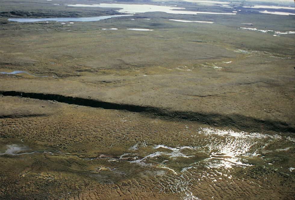 Jordskjelv-bruddet i Máze er åtte mil lang og opptrer som en opptil sju meter høy, markert skrent i det flate landskapet på Finnmarksvidda.
 Foto:  Odleiv Olesen, Norges geologiske undersøkelser