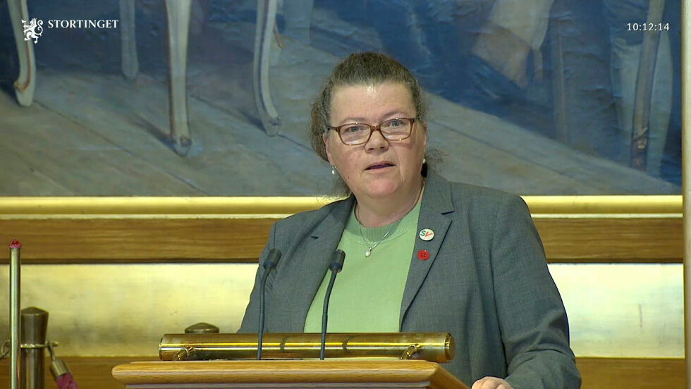 Kathy Lie (SV) var saksordfører for kunstnermeldinga som gikk glatt gjennom Stortinget.
 Foto: Skjermbilde fra stortinget.no