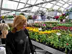 Her handler det kun om blomster