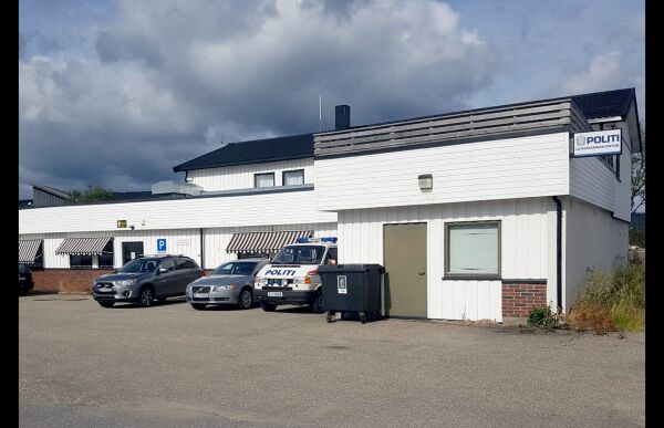 Pågrepet etter å ha viftet med lekepistol