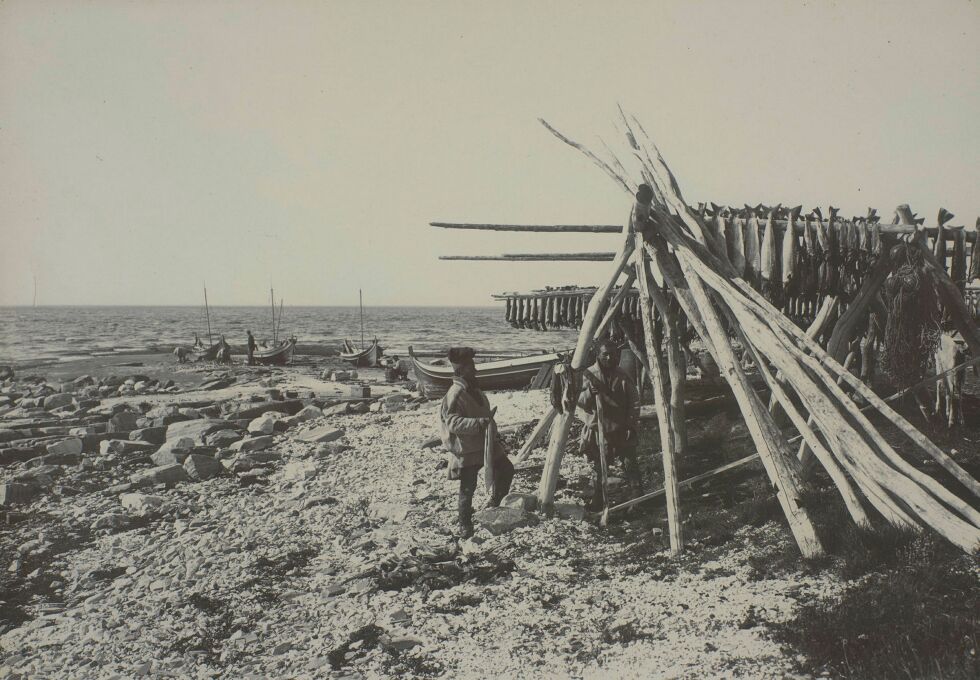 På programmet blir det fotoutstilling med til sammen 20 gamle bilder fra det sjøsamiske miljøet i Porsanger fra 1800-og 1900- tallet. Dette er et gammelt bilde fra Ytre Kjerringvik fotografert av Robert Collett på slutten av 1800-tallet.
 Foto: Robert Collett