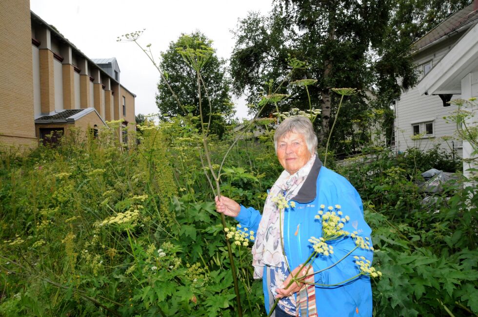 Karin Danielsen er tydelig på at det haster med mottiltak mot kjempebjørnekjeksen før den kveler all annen vegetasjon der den slår rot.
 Foto: Hannah Persen