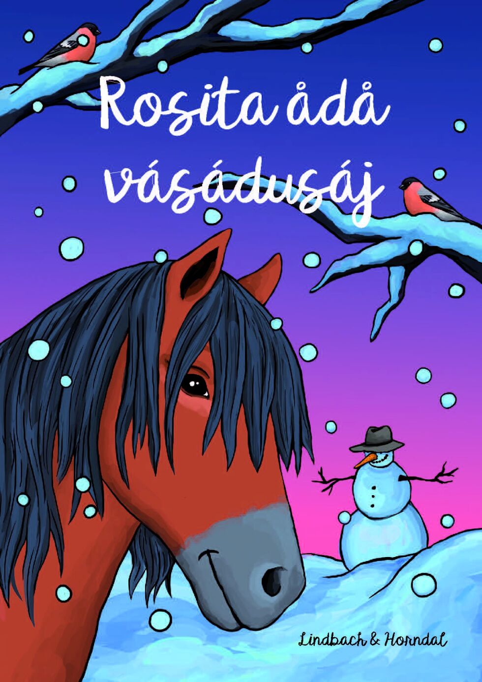 Sånn ser den ut: Rosita ådå vásádusáj er ei ny tegneseriebok på lulesamisk.
 Foto: Sissel Horndal / I&#273;ut